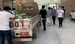 礼泉吃瓜最新事件爆料新闻,揭秘背后惊人真相，网络热议持续升温